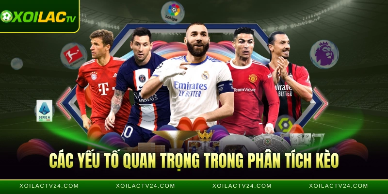 Các yếu tố quan trọng trong phân tích kèo