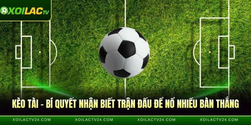 Kèo Tài – Bí Quyết Nhận Biết Trận Đấu Và Cách Đánh Hiệu Quả