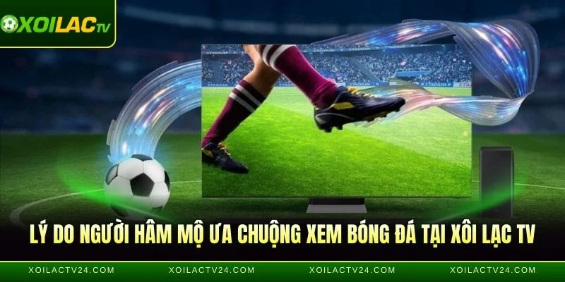 Lý do người hâm mộ ưa chuộng xem bóng đá tại Xôi lạc tv