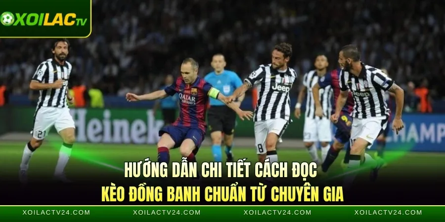 Hướng dẫn chi tiết cách đọc kèo đồng banh chuẩn từ chuyên gia