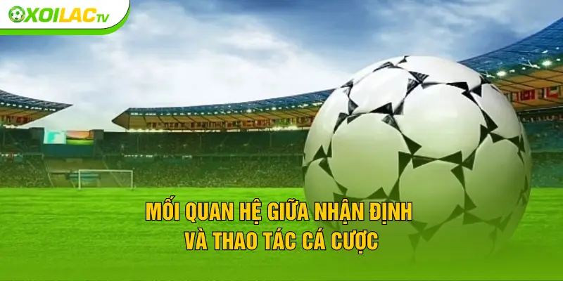 Mối quan hệ giữa nhận định và thao tác cá cược