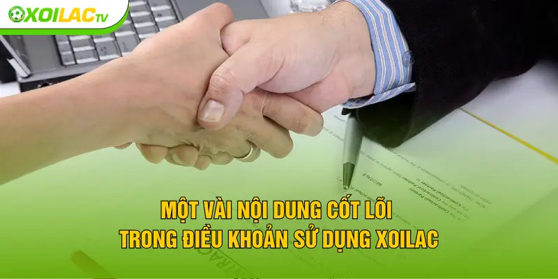 Một vài nội dung cốt lõi trong điều khoản sử dụng XOILAC