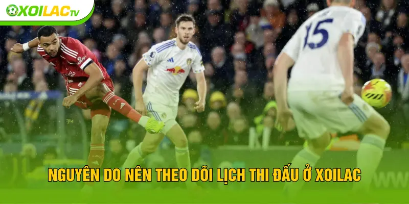 Nguyên do nên theo dõi lịch thi đấu ở XOILAC TV