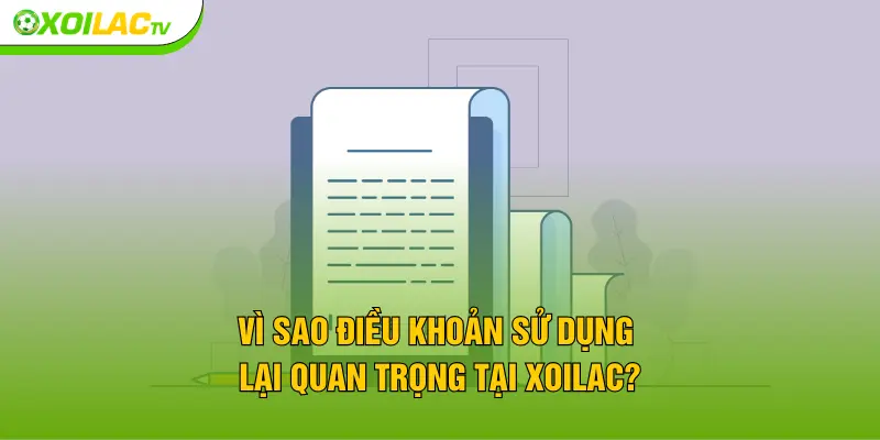 Vì sao điều khoản sử dụng lại quan trọng tại XOILAC?
