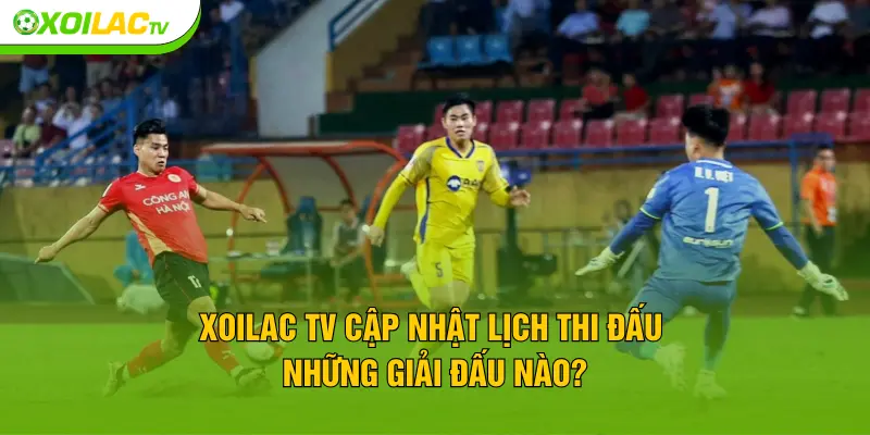 XOILACTV cập nhật lịch thi đấu những giải đấu nào?